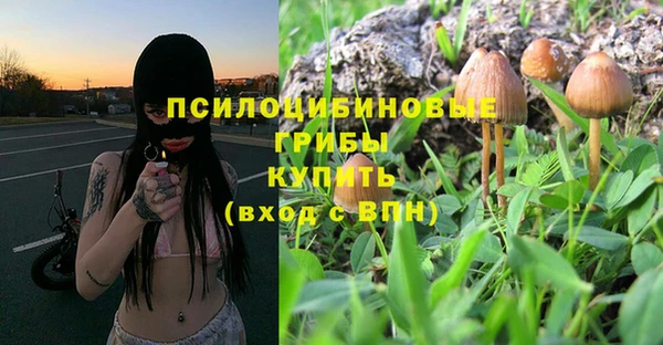 mdpv Алзамай